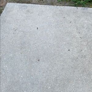 Meet your Posher, Donte